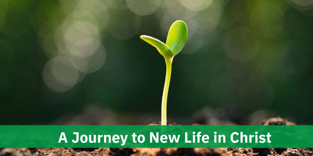 A Journey to New Life in Christ